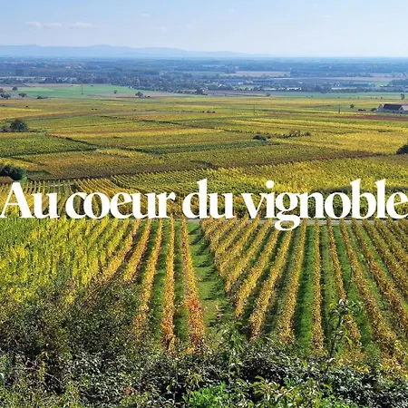 Le Hahnenberg - La Maison Des Vignerons Appartement