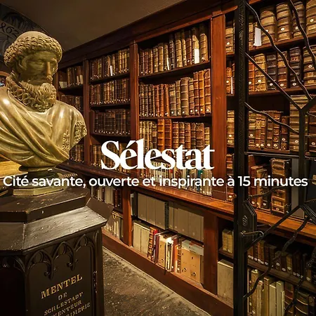 Appartement Le Hahnenberg - La Maison Des Vignerons *