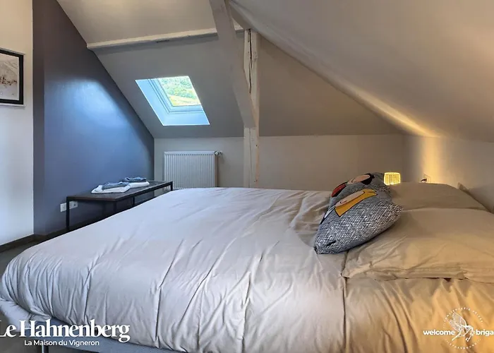 Le Hahnenberg - La Maison Des Vignerons 아파트 *