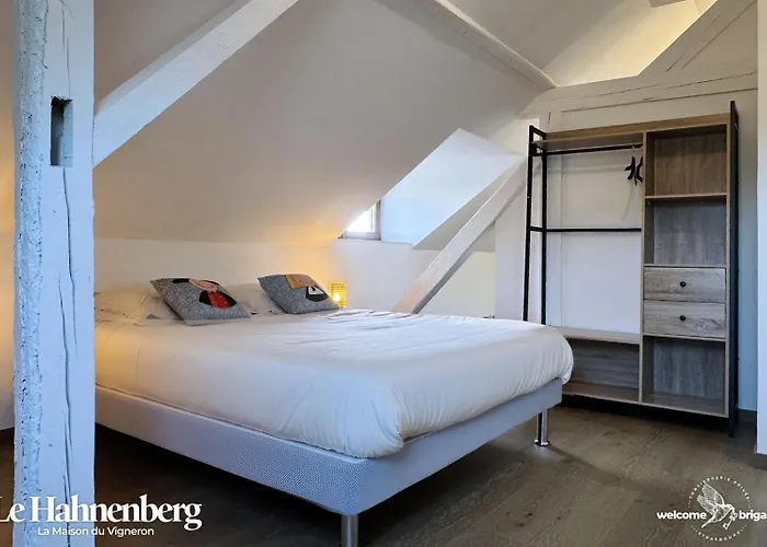 Le Hahnenberg - La Maison Des Vignerons 아파트 *