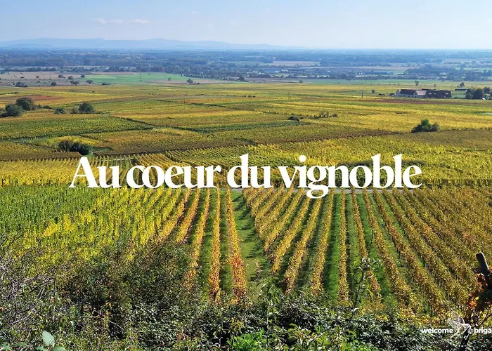 Le Hahnenberg - La Maison Des Vignerons 아파트