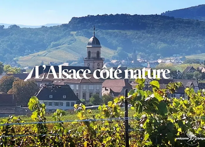 Le Hahnenberg - La Maison Des Vignerons *