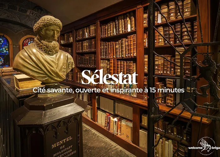 아파트 Le Hahnenberg - La Maison Des Vignerons *